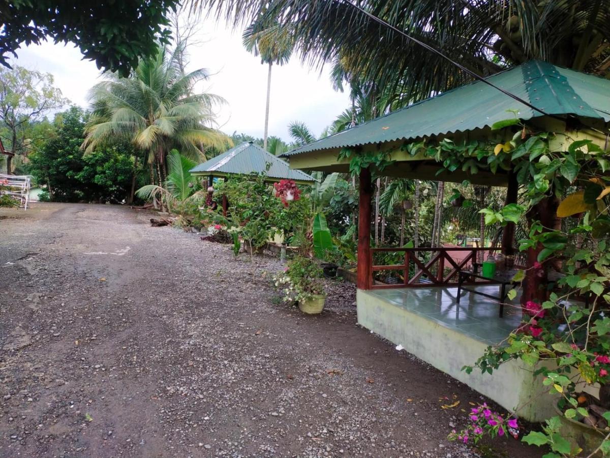 Jungle View Homestay Bukit Lawang Exterior photo