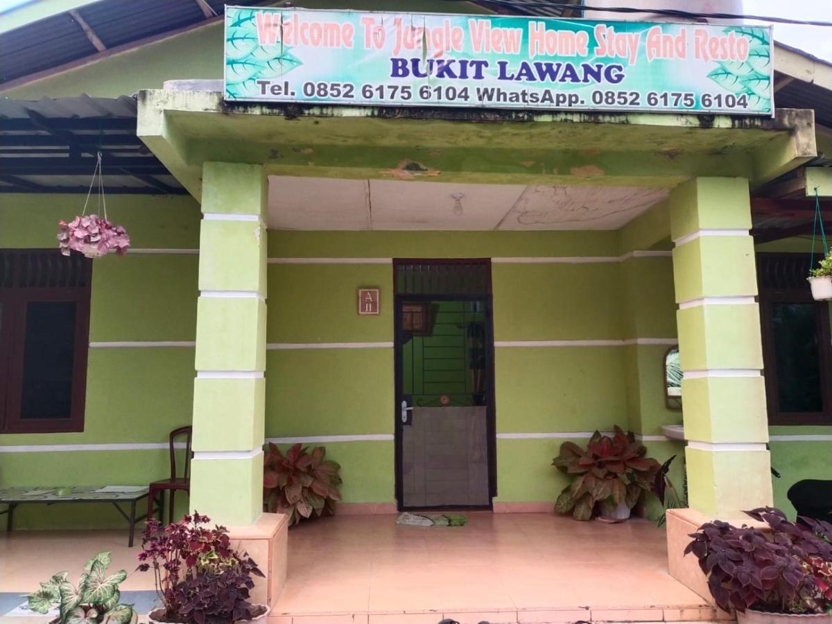 Jungle View Homestay Bukit Lawang Exterior photo