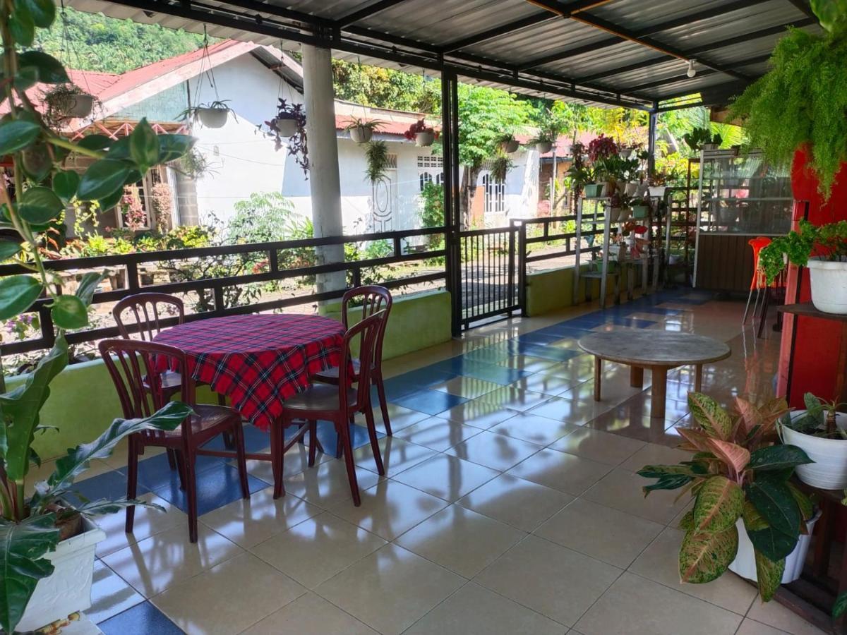 Jungle View Homestay Bukit Lawang Exterior photo