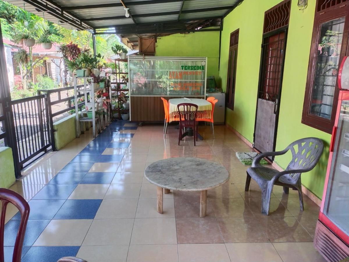 Jungle View Homestay Bukit Lawang Exterior photo