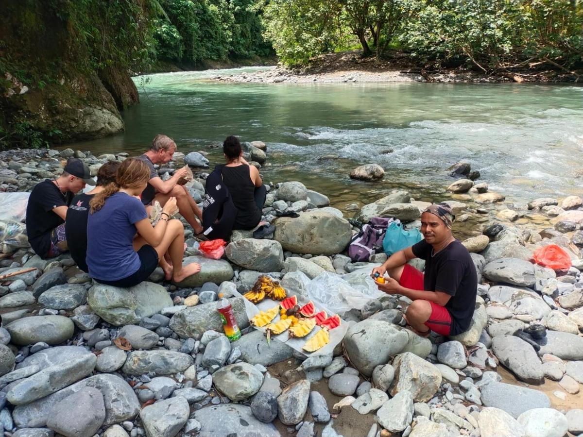 Jungle View Homestay Bukit Lawang Exterior photo