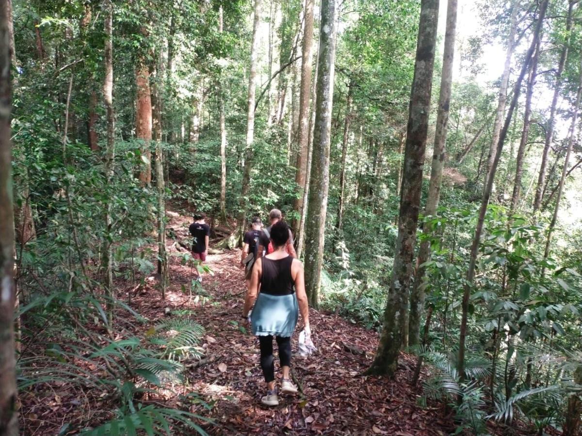 Jungle View Homestay Bukit Lawang Exterior photo