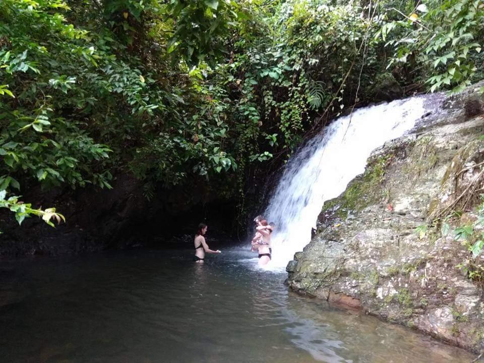 Jungle View Homestay Bukit Lawang Exterior photo