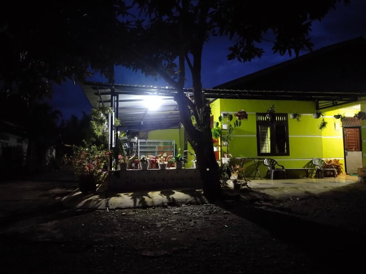 Jungle View Homestay Bukit Lawang Exterior photo